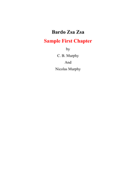 Bardo Zsa Zsa Sample First Chapter by C