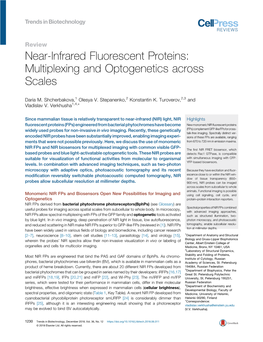 Near-Infrared Fluorescent Proteins