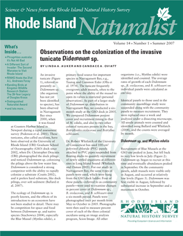 Observations on the Colonization of the Invasive Tunicate Didemnum