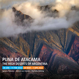 PUNA DE ATACAMA the HIGH DESERTS of ARGENTINA 30 JAN – 11 FEB 2022 20 MAR – 1 APR 2022 Ignacio Palacios – Marsel Van Oosten – Daniella Sibbing ATACAMA-PUNA REGION