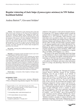 Regular Wintering of Jack Snipe (Lymnocryptes Minimus) in NW Italian Heathland Habitat