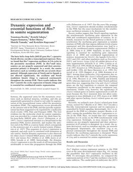 Dynamic Expression and Essential Functions of Hes7 in Somite Segmentation