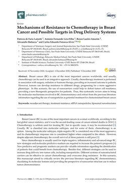 Mechanisms of Resistance to Chemotherapy in Breast Cancer and Possible Targets in Drug Delivery Systems