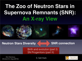 The Zoo of Neutron Stars in Supernova Remnants (SNR):� an X-Ray View