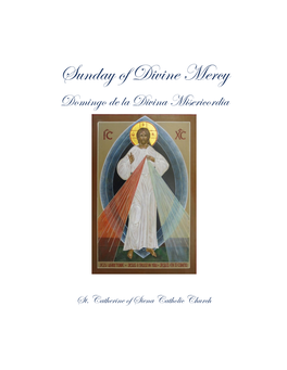 Divine Mercy Booklet