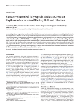 Vasoactive Intestinal Polypeptide Mediates Circadian Rhythms in Mammalian Olfactory Bulb and Olfaction