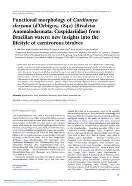 Bivalvia: Anomalodesmata: Cuspidariidae