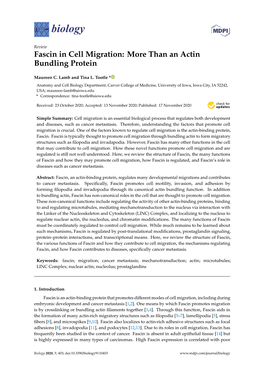 Fascin in Cell Migration: More Than an Actin Bundling Protein