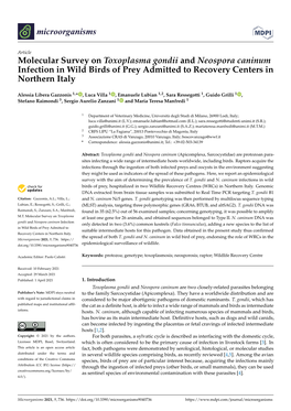 Molecular Survey on Toxoplasma Gondii and Neospora Caninum Infection in Wild Birds of Prey Admitted to Recovery Centers in Northern Italy