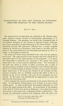 Proceedings of the United States National Museum