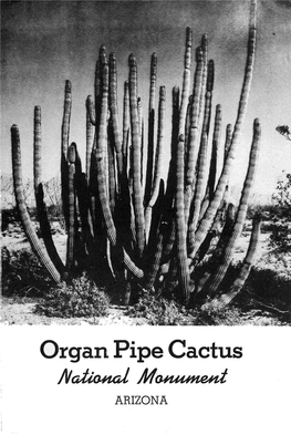 Organ Pipe Cactus