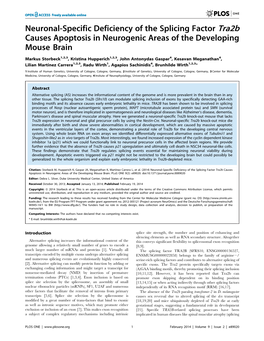 Neuronal-Specific Deficiency of the Splicing Factor Tra2b Causes Apoptosis in Neurogenic Areas of the Developing Mouse Brain