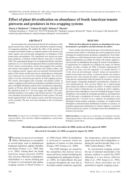 Effect of Plant Diversification on Abundance of South American Tomato Pinworm and Predators in Two Cropping Systems