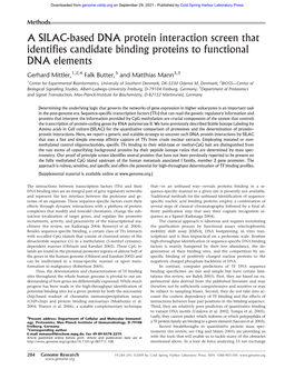 A SILAC-Based DNA Protein Interaction Screen That Identifies Candidate Binding Proteins to Functional DNA Elements