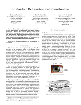 Iris Surface Deformation and Normalization