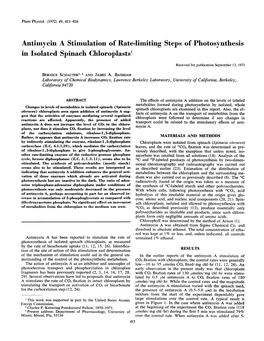 Antimycin a Stimulation of Rate-Limiting Steps of Photosynthesis in Isolated Spinach Chloroplastst