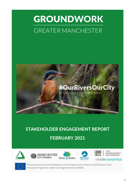 Stakeholder Engagement Report February 2021