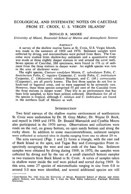 Ecological and Systematic Notes on Caecidae from St. Croix, U.S. Virgin