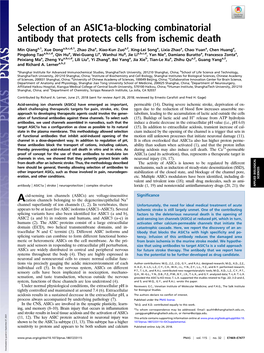 Selection of an Asic1a-Blocking Combinatorial Antibody That Protects Cells from Ischemic Death