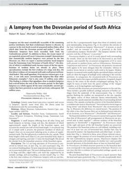 A Lamprey from the Devonian Period of South Africa