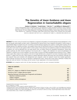 The Genetics of Axon Guidance and Axon Regeneration in Caenorhabditis Elegans