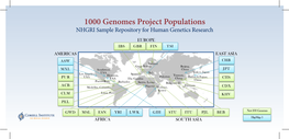 1000 Genomes Project Populations