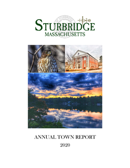 2020 Annual Town Report