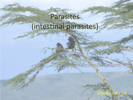 Intestinal Parasites)