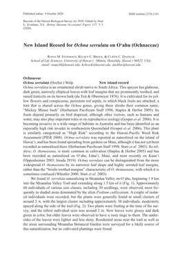 New Island Record for Ochna Serrulata on O'ahu (Ochnaceae)