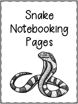 Snake Notebooking Pages Bw