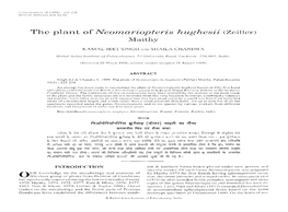 The Plant Ofneomariopteris Hughesii (Zeille'r) Maithy