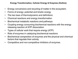Energy Transformation, Cellular Energy & Enzymes (Outline)