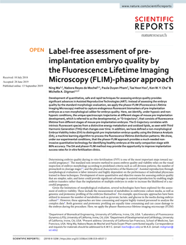 Label-Free Assessment of Pre-Implantation Embryo