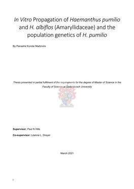 In Vitro Propagation of Haemanthus Pumilio and H. Albiflos (Amaryllidaceae) and the Population Genetics of H