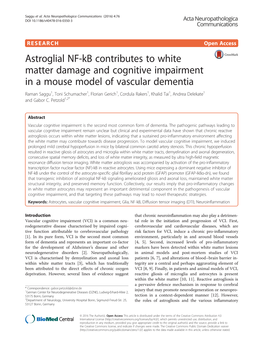 Astroglial NF-Kb Contributes to White Matter Damage and Cognitive Impairment in a Mouse Model of Vascular Dementia