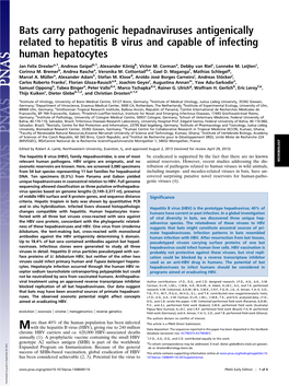 Bats Carry Pathogenic Hepadnaviruses Antigenically Related to Hepatitis B Virus and Capable of Infecting Human Hepatocytes