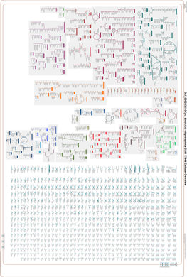 Generate Metabolic Map Poster