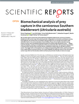 Biomechanical Analysis of Prey Capture in the Carnivorous Southern