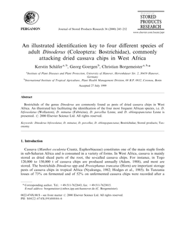 An Illustrated Identification Key to Four Different Species of Adult Dinoderus (Coleoptera: Bostrichidae), Commonly Attacking Dr