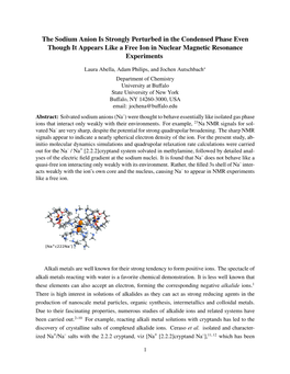 The Sodium Anion Is Strongly Perturbed in the Condensed Phase Even Though It Appears Like a Free Ion in Nuclear Magnetic Resonance Experiments