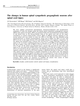 The Changes in Human Spinal Sympathetic Preganglionic Neurons After Spinal Cord Injury