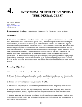 Ectoderm: Neurulation, Neural Tube, Neural Crest