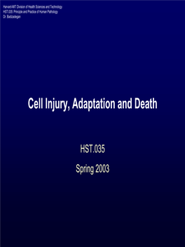 Cell Injury, Adaptation and Death