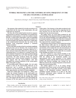 Tymbal Mechanics and the Control of Song Frequency in the Cicada Cyclochila Australasiae