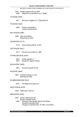 Basic Assessment Report