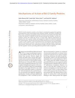 Mechanisms of Action of Bcl-2 Family Proteins