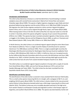 Status and Occurrence of Little Curlew (Numenius Minutus) in British Columbia