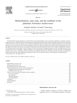 Multicellularity, Stem Cells, and the Neoblasts of the Planarian Schmidtea Mediterranea