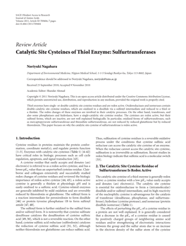 Catalytic Site Cysteines of Thiol Enzyme: Sulfurtransferases