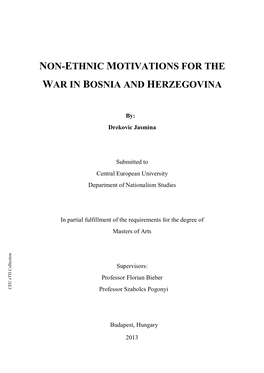 Non-Ethnic Motivations for the War in Bosnia And